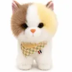Multifunctional Cat Toy